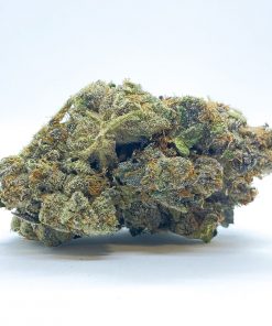Photo of Champagne pink bud