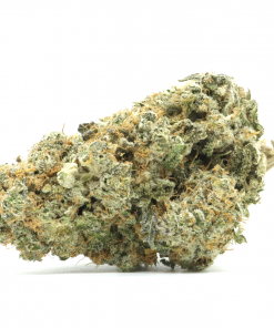 A cross between Cheese and Space Queen strains, resulting in a sweet, creamy, and vanilla treat