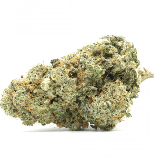A cross between Cheese and Space Queen strains, resulting in a sweet, creamy, and vanilla treat