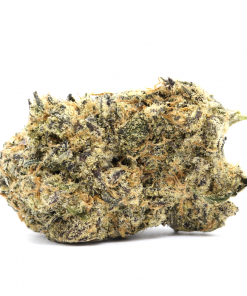 Black Cherry Soda is an eye catching hybrid strain that consists of small dense purple nugs that are covered in healthy amounts of trichomes.