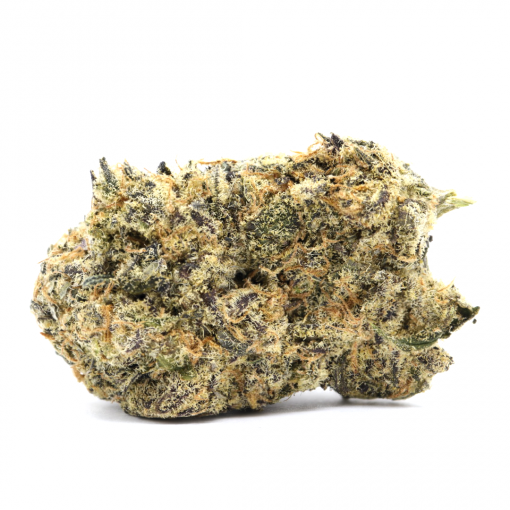 Black Cherry Soda is an eye catching hybrid strain that consists of small dense purple nugs that are covered in healthy amounts of trichomes.
