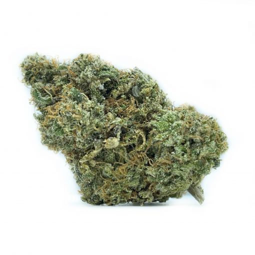 Grown for 11-12 weeks using Living Soil Organic products, this classic Pink Kush embodies what a Pink Kush should be; a sweet, floral, and skunky treat!
