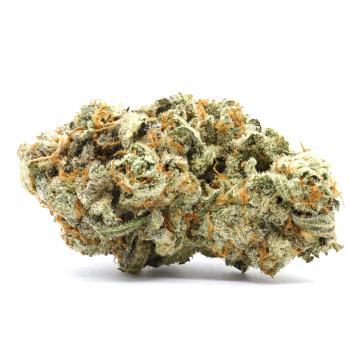 Chem Scout Cookies is a balanced hybrid strain that was originally bred in California through crossing Chem 91 with Girl Scout Cookies.