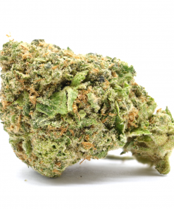 Lemon Skunk also known as 