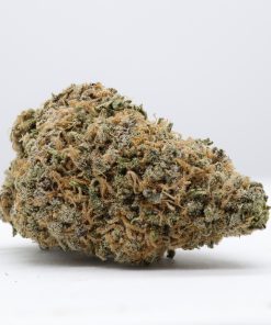 Gelato is a delicious hybrid treat that is bred by crossing Sunset Sherbet and Thin Mint Cookies.