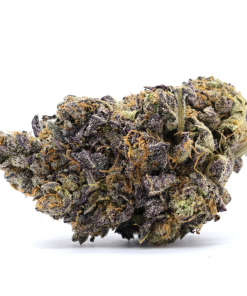 Sherb-Quake, an intense cross between popular strains such as Sunset Sherbet and Ice Cream Cake.