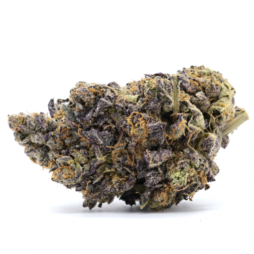 Sherb-Quake, an intense cross between popular strains such as Sunset Sherbet and Ice Cream Cake.