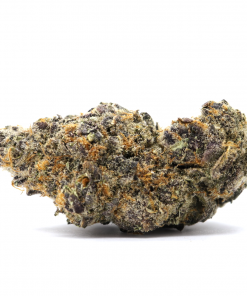 Terple is a delicious unique strain made by crossing Tropicana Cookies and Slurricane #7 strains.