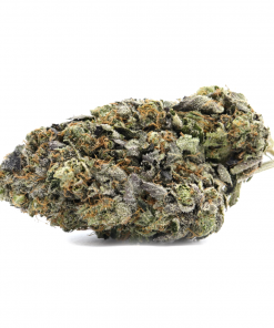 This BC legend is a pure indica strain known for its long lasting and heavy sedative effects. It is made by crossing two strains, The Black and Gas Mask.