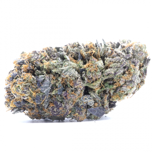 A BC legend known for its potent long lasting effects, Bluefin Tuna Kush is created through crossing Tuna Kush and Blueberry strains.