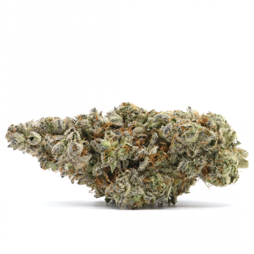Gas Breath is known to be a 100% Indica strain that is created through unknown genetics. Some say that it is most likely an OG Kush phenotype based on factors like smell and appearance.