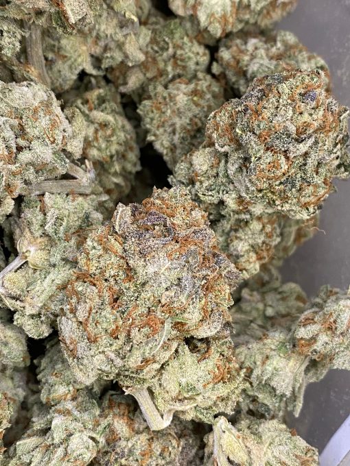 An indica dominant strain that is created through crossing known strains like Girl Scout Cookies and OG Kush strains.