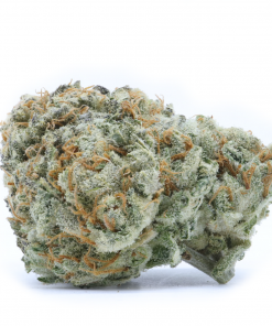 An indica dominant strain that is created through crossing known strains like Girl Scout Cookies and OG Kush strains.