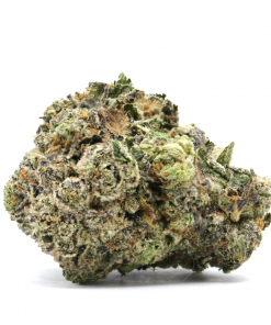 Rockstar is a classic indica dominant strain known for its long lasting sedative effects. It is produced by crossing Rock Bud and Sensi Star strains