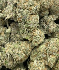 A cross between Cheese and Space Queen strains, resulting in a sweet, creamy, and vanilla treat.