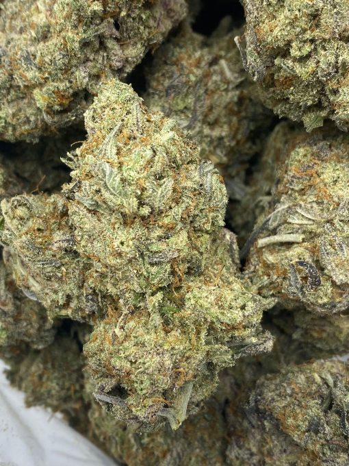 An evenly crossed hybrid that is created through combining two heavy hitters; Dosido and Jetfuel.