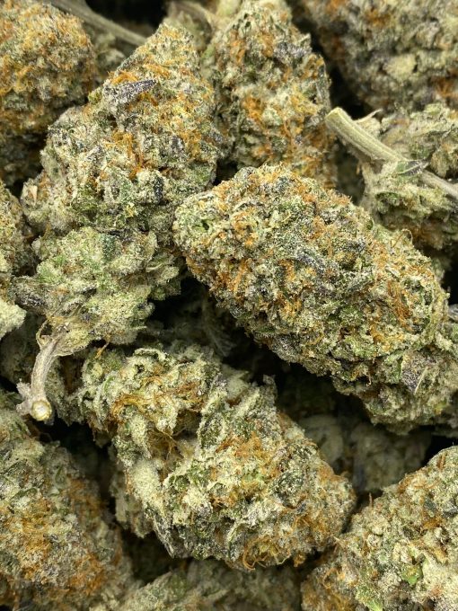 A delicious indica dominant hybrid that is created through crossing Cherry Pie and Girl Scout Cookies strains.