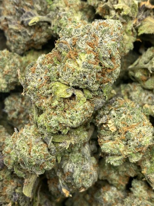 Big Buddha Cheese is a balanced hybrid strain with a creamy and cheesy aroma coupled with fresh berry after notes