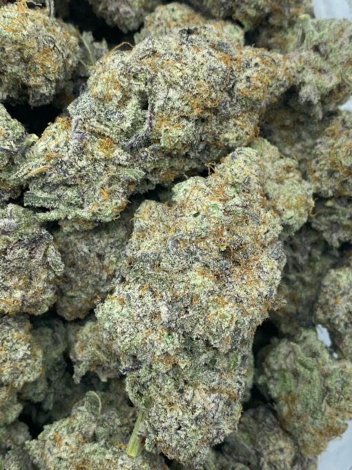 Cereal Milk is a delicious hybrid strain that is a cross between Snowman X Y-Life strains