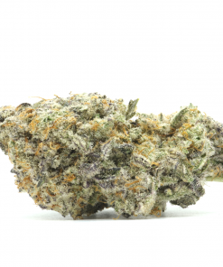Cereal Milk is a delicious hybrid strain that is a cross between Snowman X Y-Life strains.