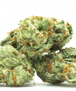 An Indica dominant strain that is created through crossing the infamous Girl Scout Cookies and OG Kush strains.