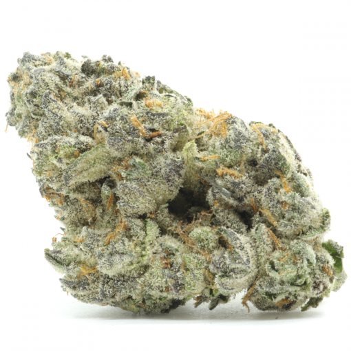 TKO is a heavy sedative hybrid that is created through crossing Northern Lights #1 and Triangle Kush strains.