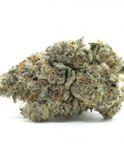 Tropicana Cherry is a Sativa dominant strain that is created through crossing Tropicana Cookies and Cherry Cookies.