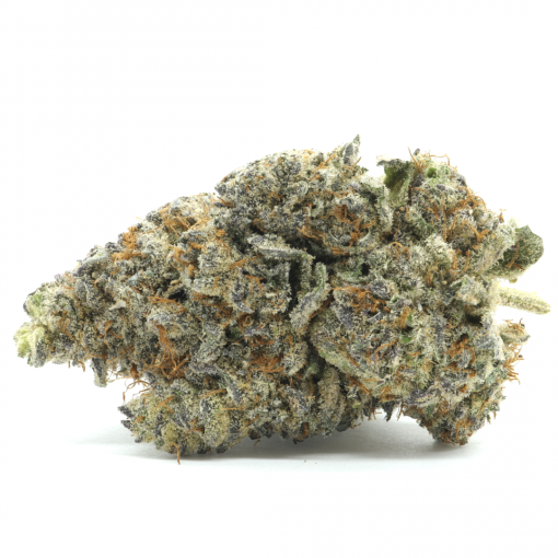 Tropicana Cherry is a Sativa dominant strain that is created through crossing Tropicana Cookies and Cherry Cookies.