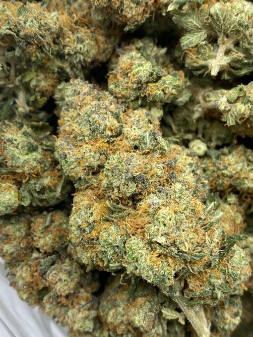 Citrus Skunk (smalls) is an Indica dominant hybrid that is created through crossing Citral and Skunk #1 strains.