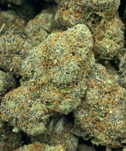 DoSi Punch is A rare indica dominant hybrid strain that is created by crossing Do-Si-Dos with Purple Punch strains.
