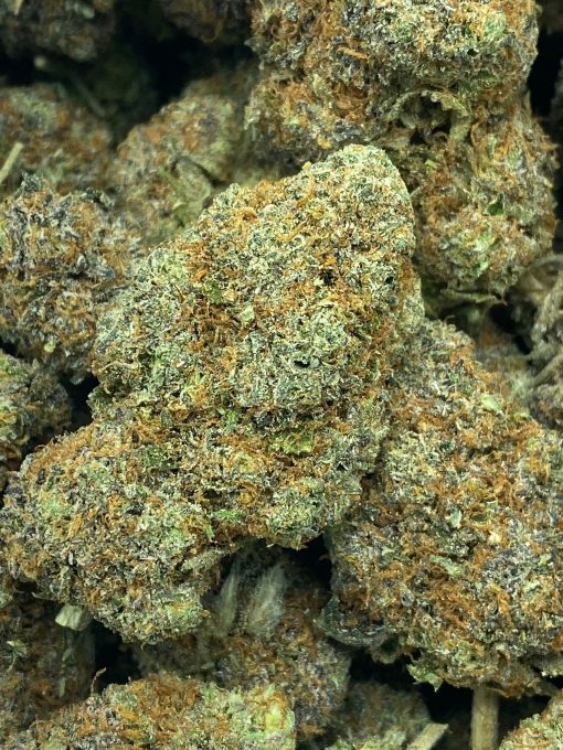 DoSi Punch is A rare indica dominant hybrid strain that is created by crossing Do-Si-Dos with Purple Punch strains.