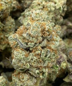 Jelly Pancakes is an indica dominant hybrid strain. Created by combining Jelly Breath and Pancake strains.