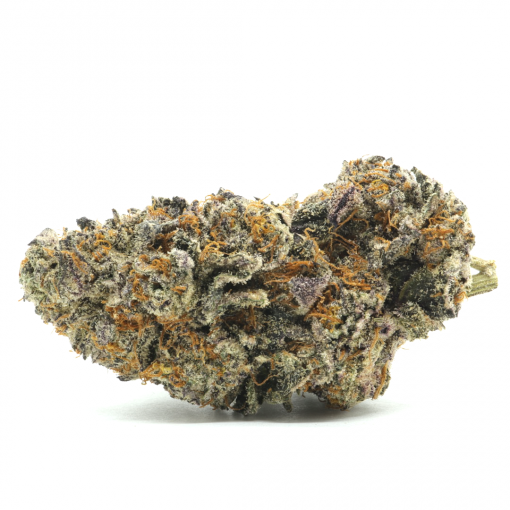 A unique sativa dominant strain that is created through crossing Purple Punch and Santa Cruze Blue Dream strains.