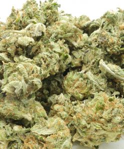 Rockstar is a classic Indica dominant strain known for its sedative effects and is produced by crossing Rock Bud and Sensi Star strains.