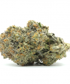 Cherry Pie is an Indica dominant strain that is created by combining Grand Daddy Purple and Durban Poison strains.