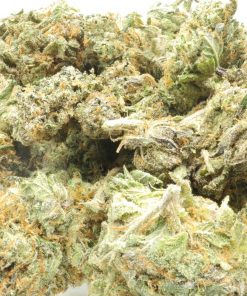 Citrus Skunk (smalls) is an Indica dominant hybrid that is created through crossing Citral and Skunk #1 strains.