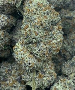 Oreoz is a rare Indica dominant strain created by crossing the delicious Cookies N Cream and Secret Weapon strains.