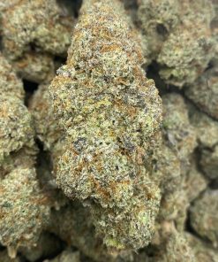 Sweat Helmet #1 is an Indica dominant strain that is bred by Exotic Genetix; a highly decorated breeder that has paired Sunset Sherbet with the delicious Grease Monkey strains.