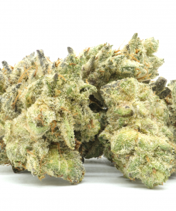 Funky Fruit Cake is a balanced hybrid that is created by crossing Key Lime Pie and Cherry Pie strains.