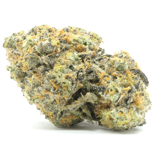 Gary Payton is an evenly balanced strain that is created through crossing the "Y" and Snowman strains.