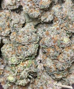 Gorilla Glue is an indica dominant hybrid strain that is created through crossing Chocolate Diesel and Sour Diesel strains.