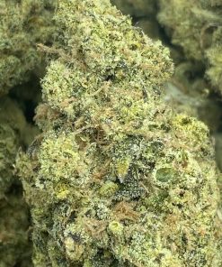 Hypothermia is an Indica leaning hybrid that is created by crossing Blunicorn and Slurricane strains. Sweet, minty, and spicy aroma.