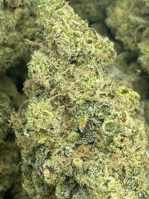 Hypothermia is an Indica leaning hybrid that is created by crossing Blunicorn and Slurricane strains. Sweet, minty, and spicy aroma.
