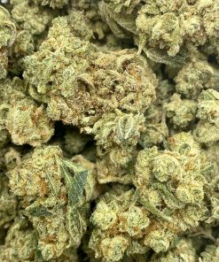 Also known as Los Angeles Cake, is an evenly balanced hybrid strain created by crossing Gorilla Glue #4 with LA Kush strains.