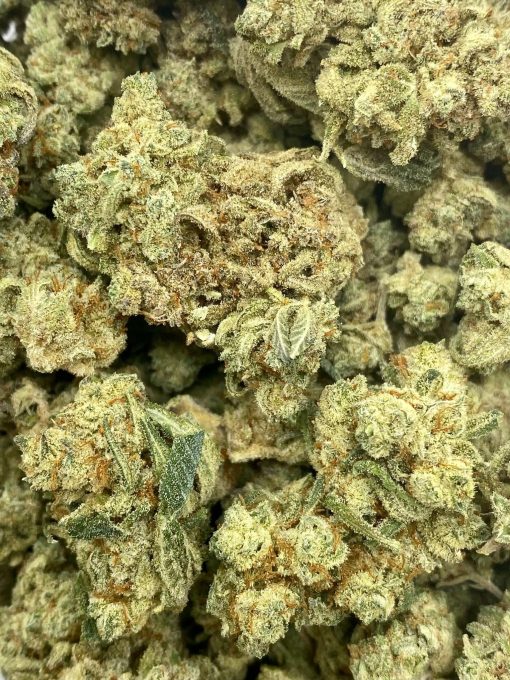 Also known as Los Angeles Cake, is an evenly balanced hybrid strain created by crossing Gorilla Glue #4 with LA Kush strains.