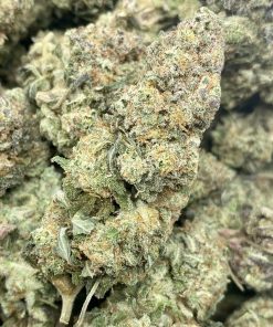 MAC1 is short for Miracle Alien Cookies, a popular balanced hybrid strain created through crossing Alien Cookies F2 with Miracle 15 strains.