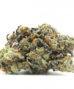 Mike Tyson OG is a staple Indica dominant powerhouse known for its euphoric and heavy sedative effects; generally leaving users 