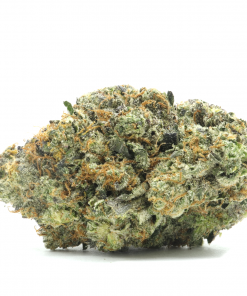 Platinum Pink is a classic Pink Kush variant known for its sedative effects and GASSY aromas that us gas lovers, LOVE! 