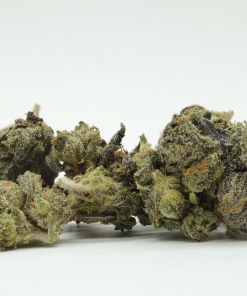 Runtz is a balanced hybrid strain that is a result of crossing the delicious Zkittlez and Gelato strains.