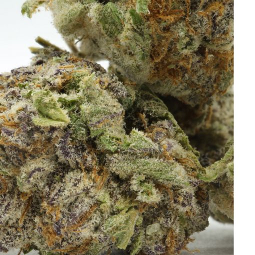 An unique Indica dominant strain that welcomes users with delicious aromas of sweet, earthy, and berry notes that translate well into the flavour of the smoke. It is made by crossing Do-Si-Dos with Purple Punch and is known for its highly uplifting and euphoric effects.